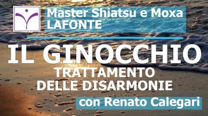 11. copertina IL GINOCCHIO